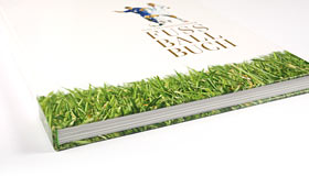 Liechtensteiner Fussballbuch