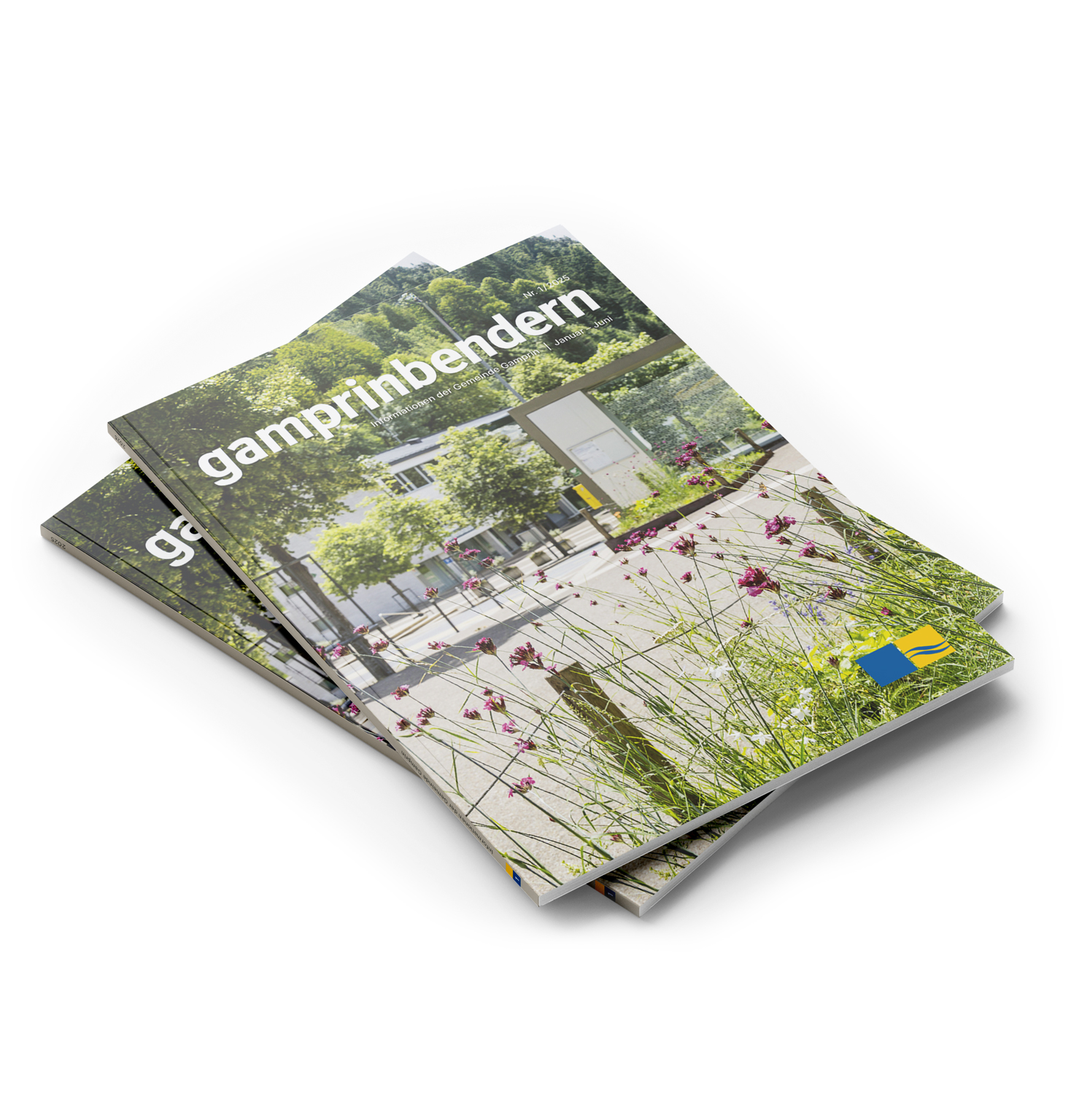 Galerie_Startseite_unten_Gamprin2026